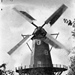 1935_klein.jpg